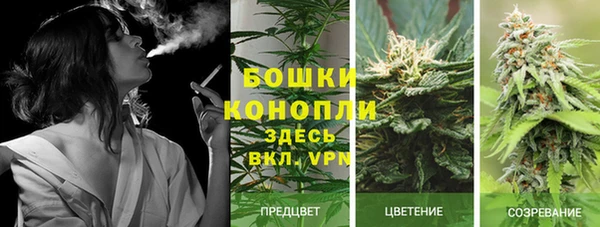 spice Беломорск