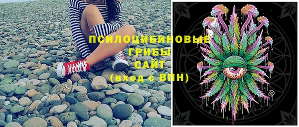 дмт Белокуриха