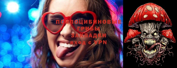 spice Беломорск