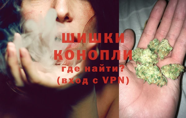 spice Беломорск
